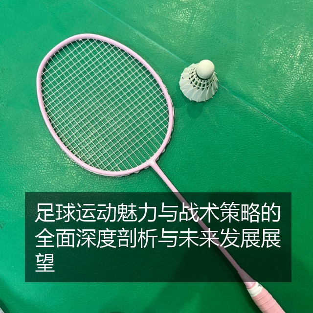 足球运动魅力与战术策略的全面深度剖析与未来发展展望
